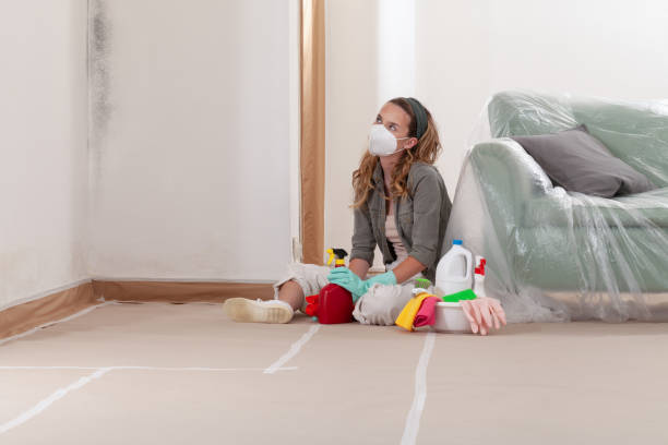 Reliable Commercial Mold Remediation contractor in Cliffwood, NJ by WQB Mold Removal